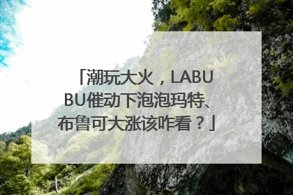潮玩大火，LABUBU催动下泡泡玛特、布鲁可大涨该咋看？