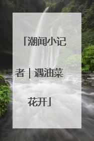 潮闻小记者｜遇油菜花开
