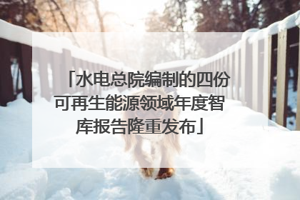 水电总院编制的四份可再生能源领域年度智库报告隆重发布