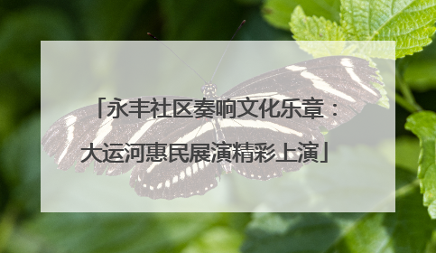 永丰社区奏响文化乐章：大运河惠民展演精彩上演