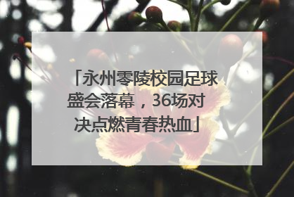 永州零陵校园足球盛会落幕，36场对决点燃青春热血