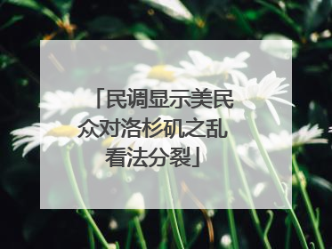 民调显示美民众对洛杉矶之乱看法分裂