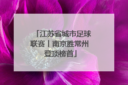 江苏省城市足球联赛丨南京胜常州 登顶榜首