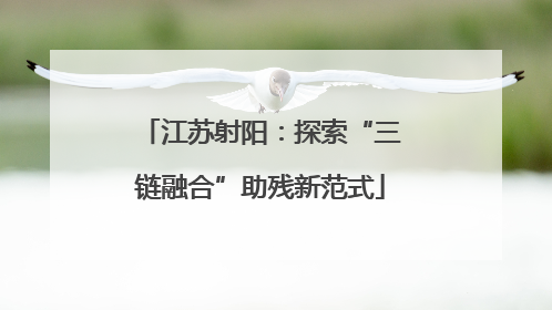 江苏射阳：探索“三链融合”助残新范式