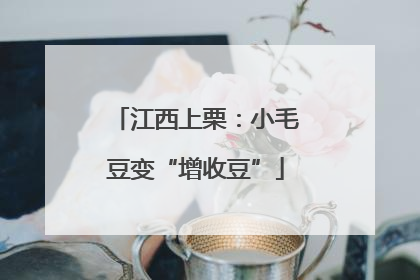 江西上栗：小毛豆变“增收豆”