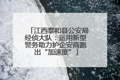 江西泰和县公安局经侦大队：运用新型警务助力护企安商跑出“加速度”