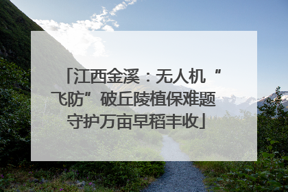 江西金溪：无人机“飞防”破丘陵植保难题 守护万亩早稻丰收