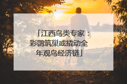 江西鸟类专家：彩鹮筑巢或撬动全年观鸟经济链