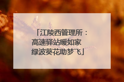 江陵西管理所：高速驿站暖如家 绿波葵花助梦飞