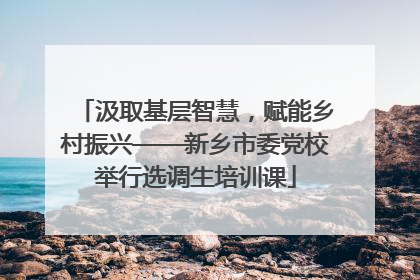 汲取基层智慧，赋能乡村振兴——新乡市委党校举行选调生培训课