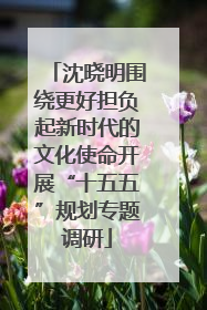 沈晓明围绕更好担负起新时代的文化使命开展“十五五”规划专题调研