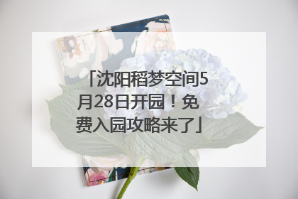 沈阳稻梦空间5月28日开园！免费入园攻略来了