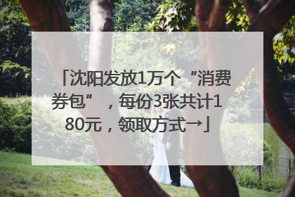 沈阳发放1万个“消费券包”，每份3张共计180元，领取方式→