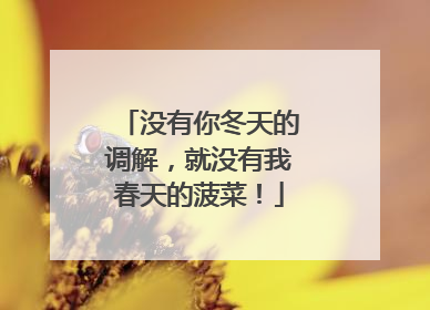 没有你冬天的调解，就没有我春天的菠菜！