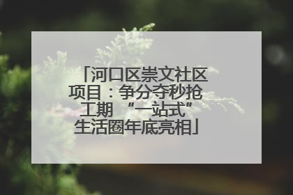 河口区崇文社区项目：争分夺秒抢工期 “一站式”生活圈年底亮相