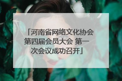 河南省网络文化协会第四届会员大会 第一次会议成功召开