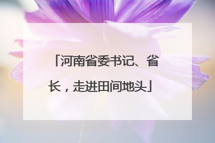 河南省委书记、省长，走进田间地头