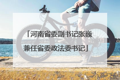 河南省委副书记张巍兼任省委政法委书记
