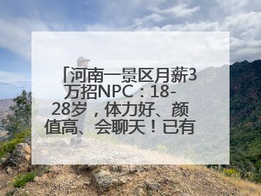 河南一景区月薪3万招NPC：18-28岁，体力好、颜值高、会聊天！已有1000多人应聘