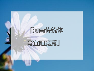 河南传统体育宜阳竞秀