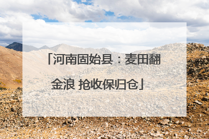 河南固始县：麦田翻金浪 抢收保归仓