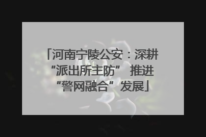 河南宁陵公安：深耕“派出所主防” 推进“警网融合”发展