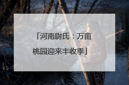 河南尉氏：万亩桃园迎来丰收季