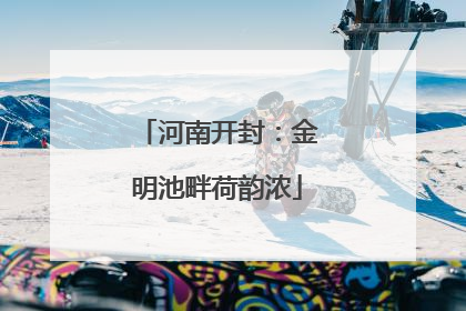 河南开封：金明池畔荷韵浓