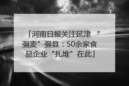 河南日报关注延津 “强麦”强县：50余家食品企业“扎堆”在此