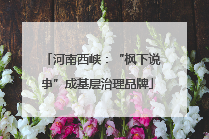 河南西峡：“枫下说事”成基层治理品牌