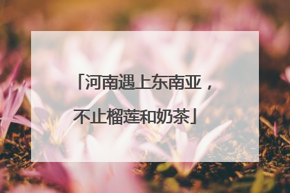 河南遇上东南亚，不止榴莲和奶茶