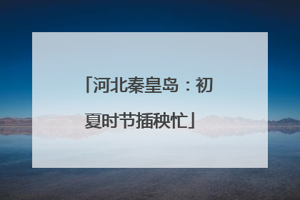 河北秦皇岛：初夏时节插秧忙