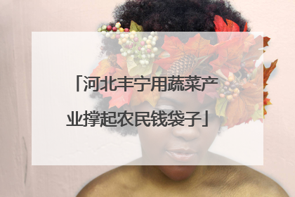 河北丰宁用蔬菜产业撑起农民钱袋子