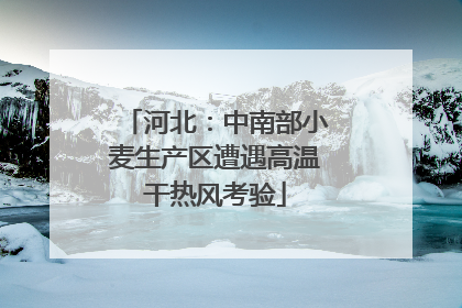 河北：中南部小麦生产区遭遇高温干热风考验