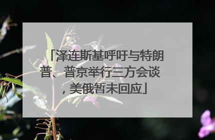 泽连斯基呼吁与特朗普、普京举行三方会谈，美俄暂未回应