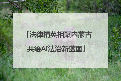 法律精英相聚内蒙古 共绘AI法治新蓝图