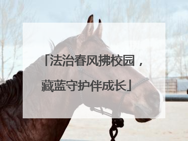 法治春风拂校园，藏蓝守护伴成长