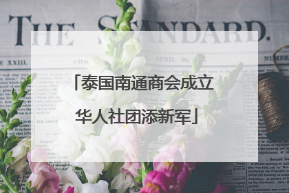 泰国南通商会成立 华人社团添新军