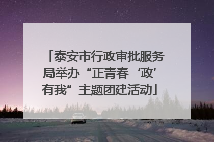 泰安市行政审批服务局举办“正青春‘政’有我”主题团建活动