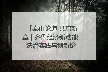 泰山论道 共启新章｜齐鲁经济新动能 法治实践与创新论坛成功举办