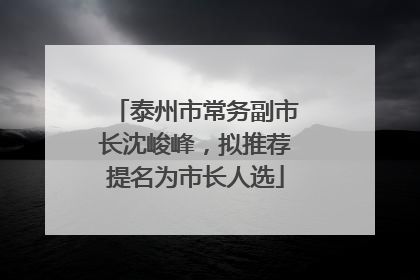 泰州市常务副市长沈峻峰，拟推荐提名为市长人选