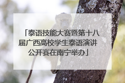 泰语技能大赛暨第十八届广西高校学生泰语演讲公开赛在南宁举办