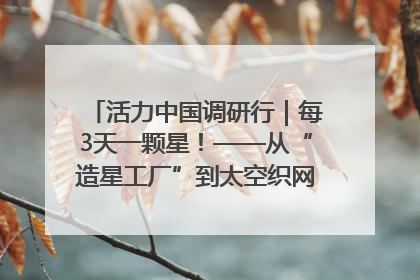 活力中国调研行｜每3天一颗星！——从“造星工厂”到太空织网的“银河速度”