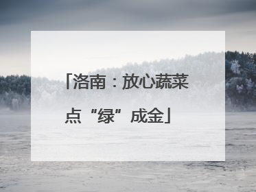 洛南：放心蔬菜点“绿”成金