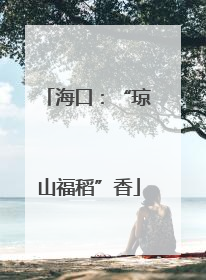 海口：“琼山福稻”香