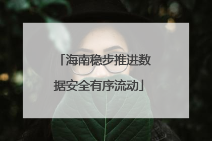 海南稳步推进数据安全有序流动
