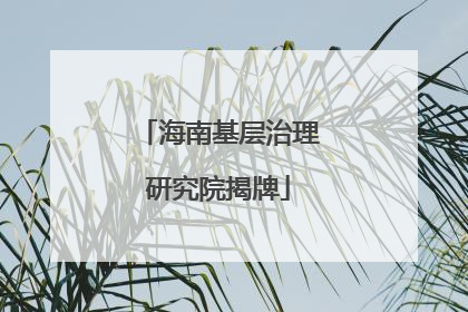 海南基层治理研究院揭牌