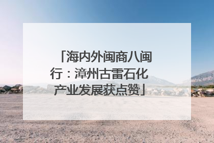 海内外闽商八闽行：漳州古雷石化产业发展获点赞