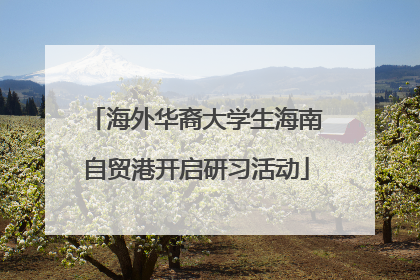 海外华裔大学生海南自贸港开启研习活动