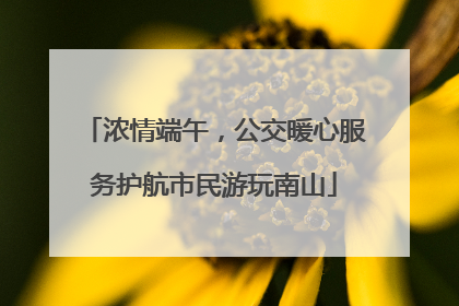 浓情端午，公交暖心服务护航市民游玩南山